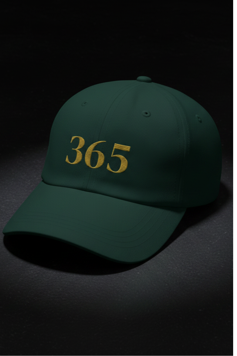 365 Reasons Cap — Classic Dad Hat