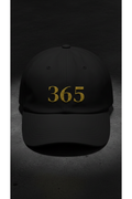 365 Reasons Cap — Classic Dad Hat