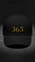 365 Reasons Cap — Classic Dad Hat